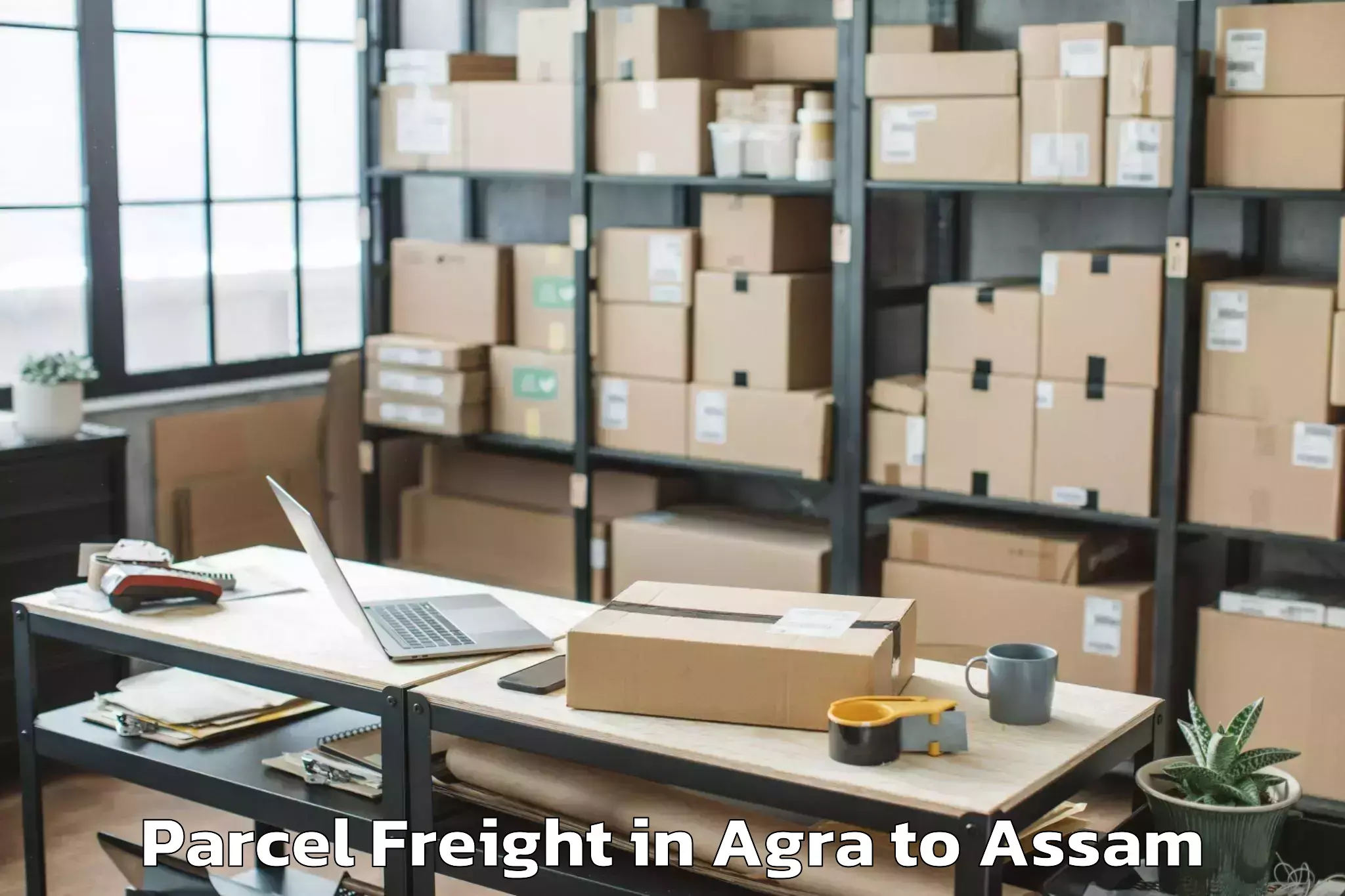 Agra to Ramkrishna Nagar Karimganj Parcel Freight Booking